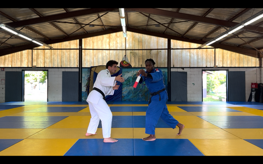 Programme 7 - Clarisse Agbegnenou - Judo